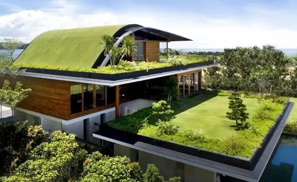 Зеленая крыша